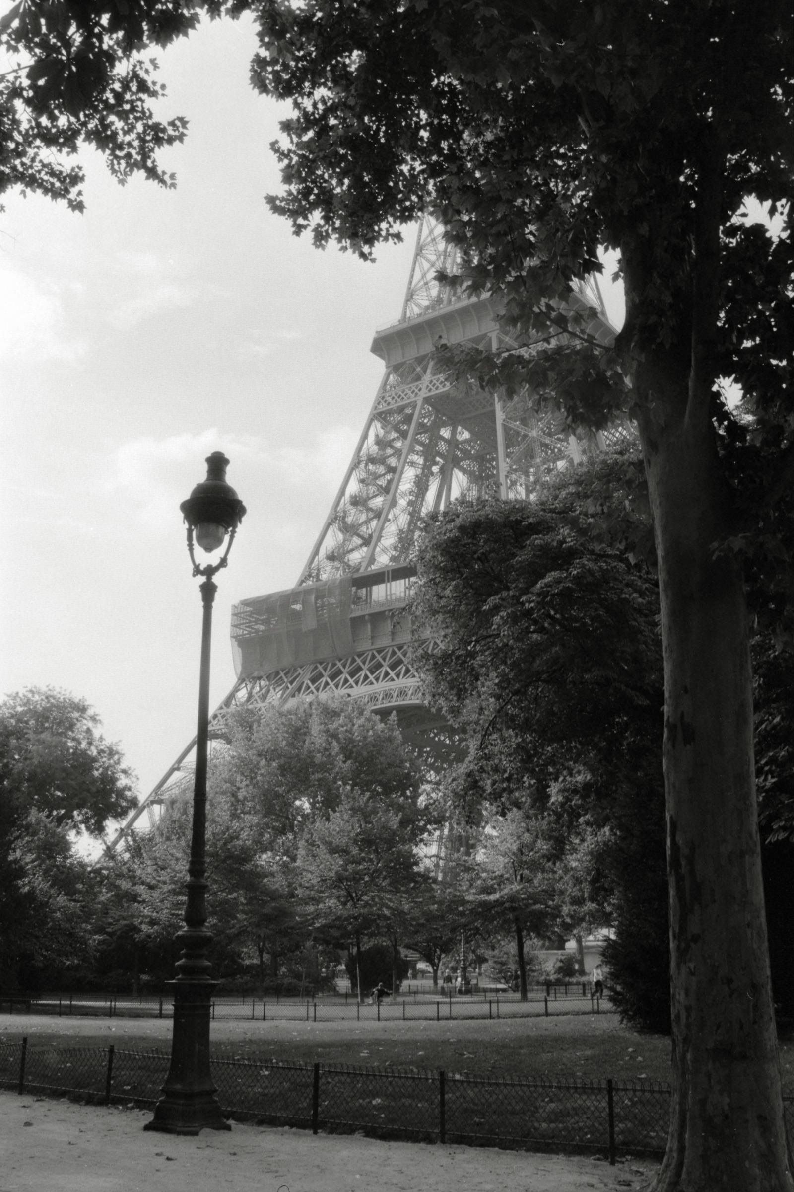 AHP F1990 09 002 sc250506 img37 NLP